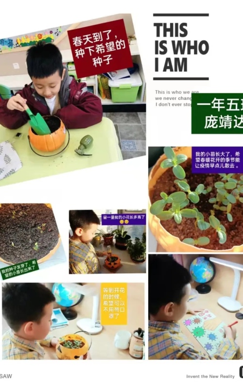 勋望小学燕塞湖分校怎么样?项目式学习(图6)