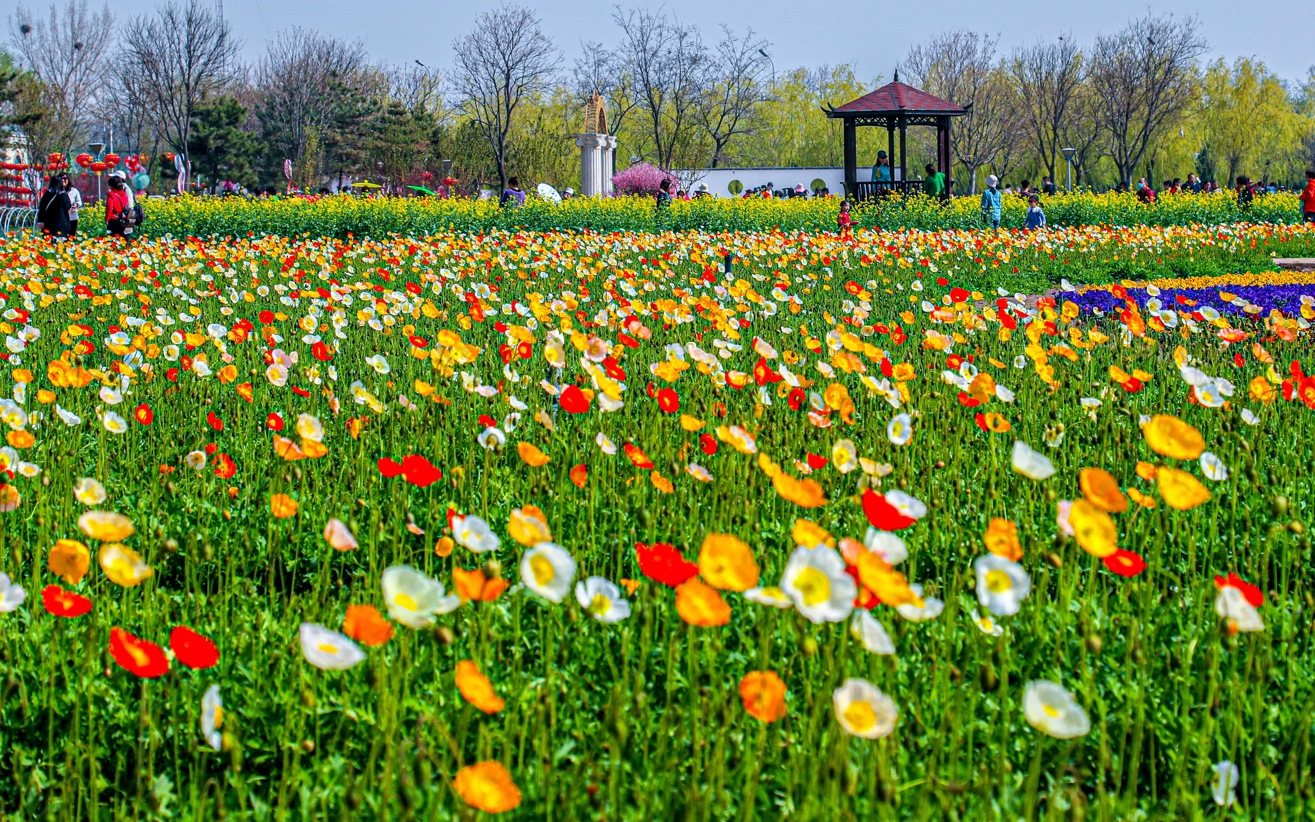 �������� ����ƽ���ӻ�����̨�����˻���������ѹ�����