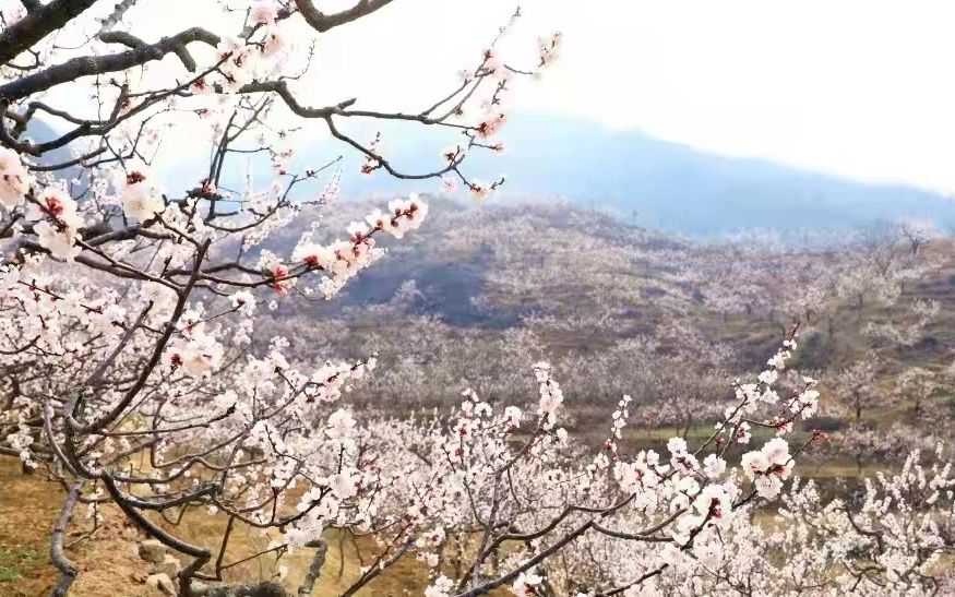 �������� ����ƽ���ӻ�����̨�����˻���������ѹ�����