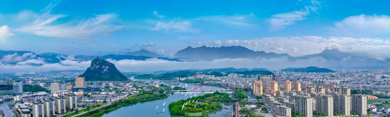 松阳茶叶生产地（绵绵茶香浙江松阳打造中国有机茶乡）