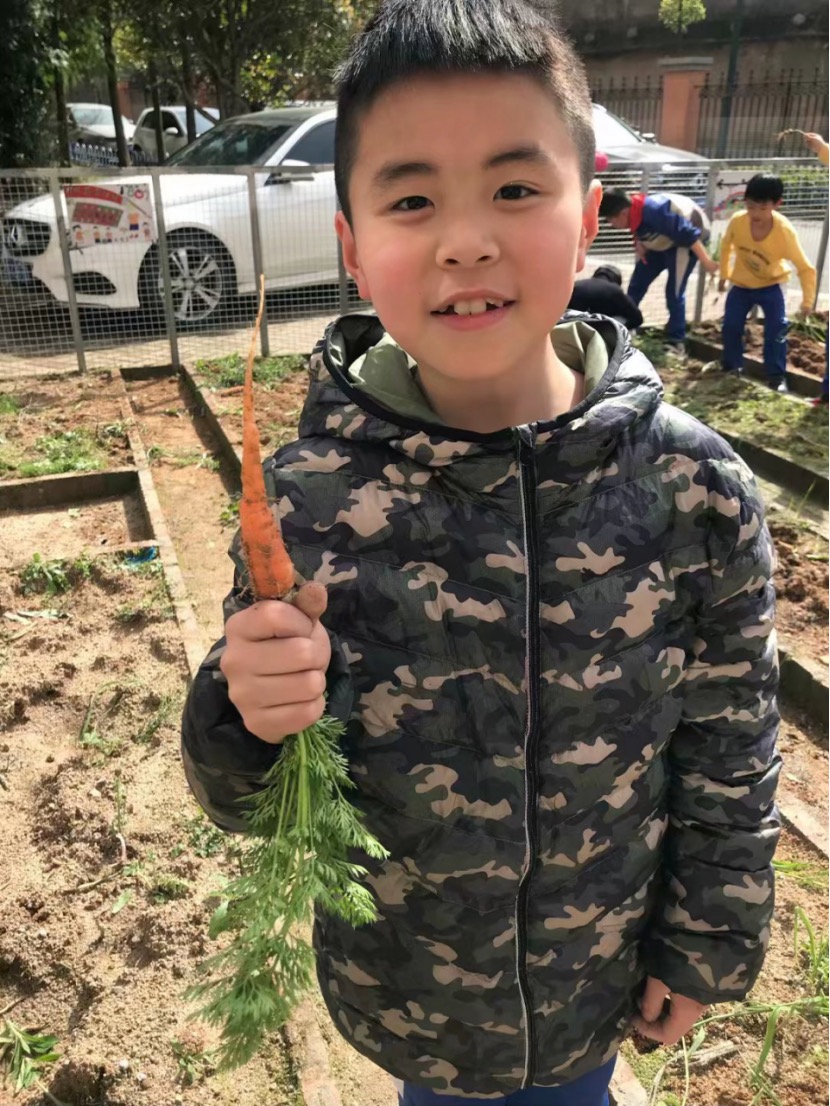 长沙县龙塘小学尹易斯：开辟校内种植园(图2)