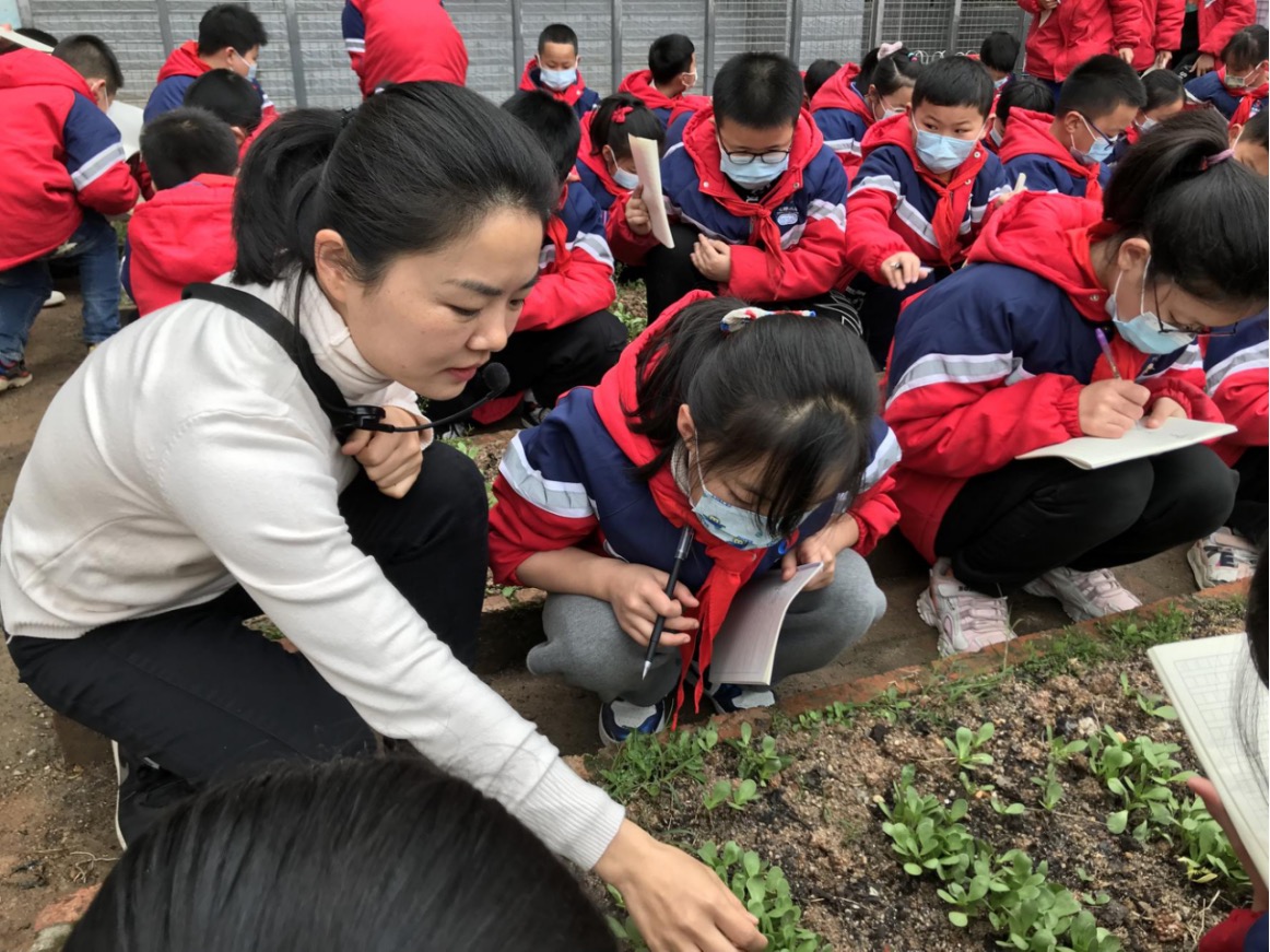 长沙县龙塘小学尹易斯：开辟校内种植园(图3)