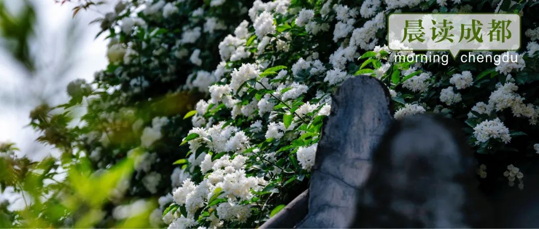 晨读成都 | 城北这家医院预计6月完工！