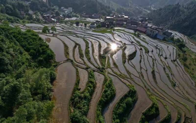 农户渴盼“微农机”全国数亿亩丘陵山地等待机械化