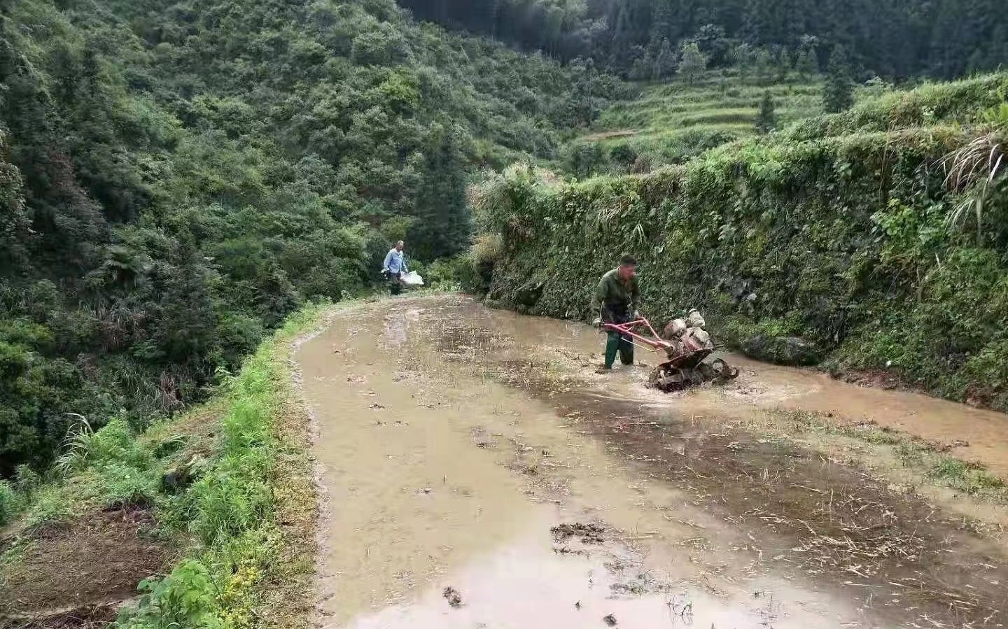 农户渴盼“微农机”全国数亿亩丘陵山地等待机械化