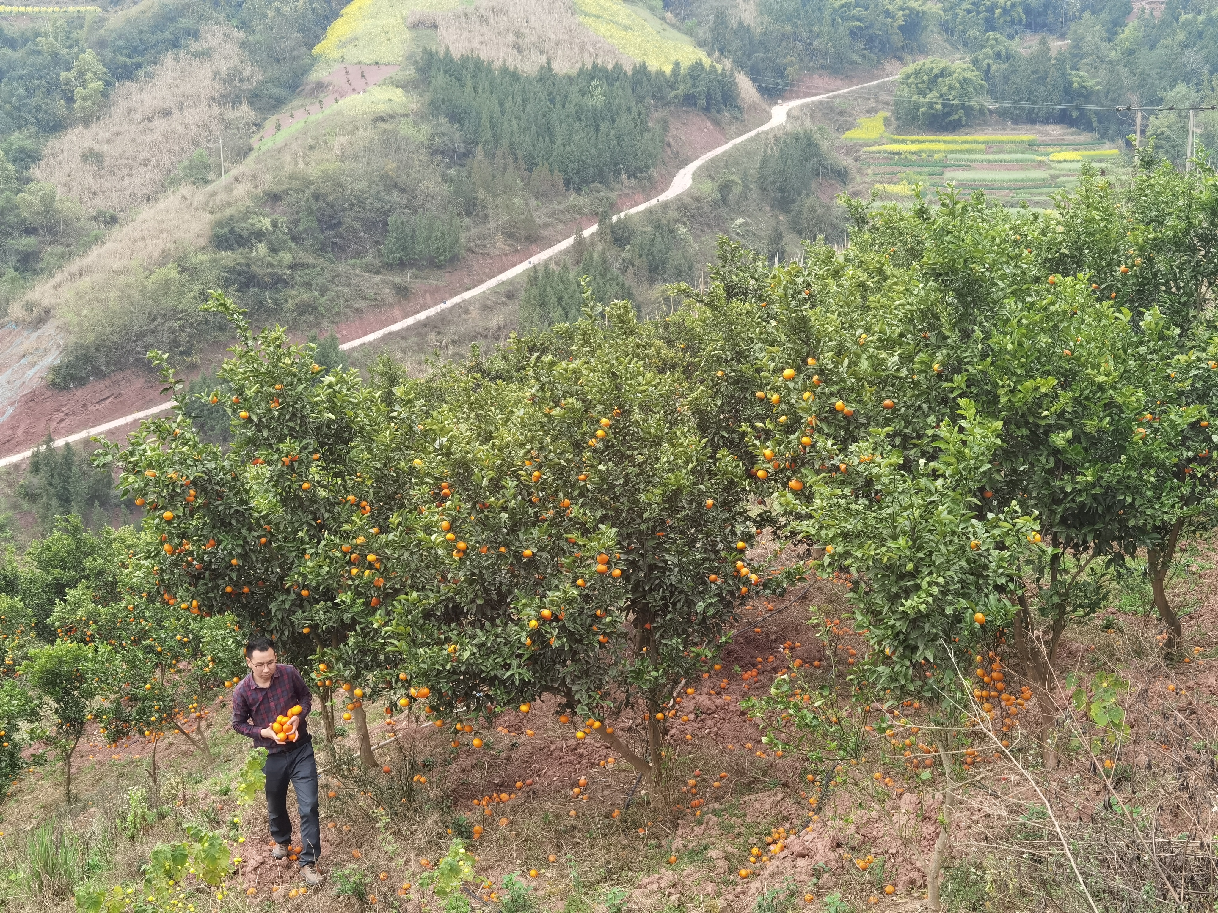 ��ɽ��&ldquo;����ɽ&rdquo;Ҫ�����ꣿһλ�����ѧ���ɳ��˴�