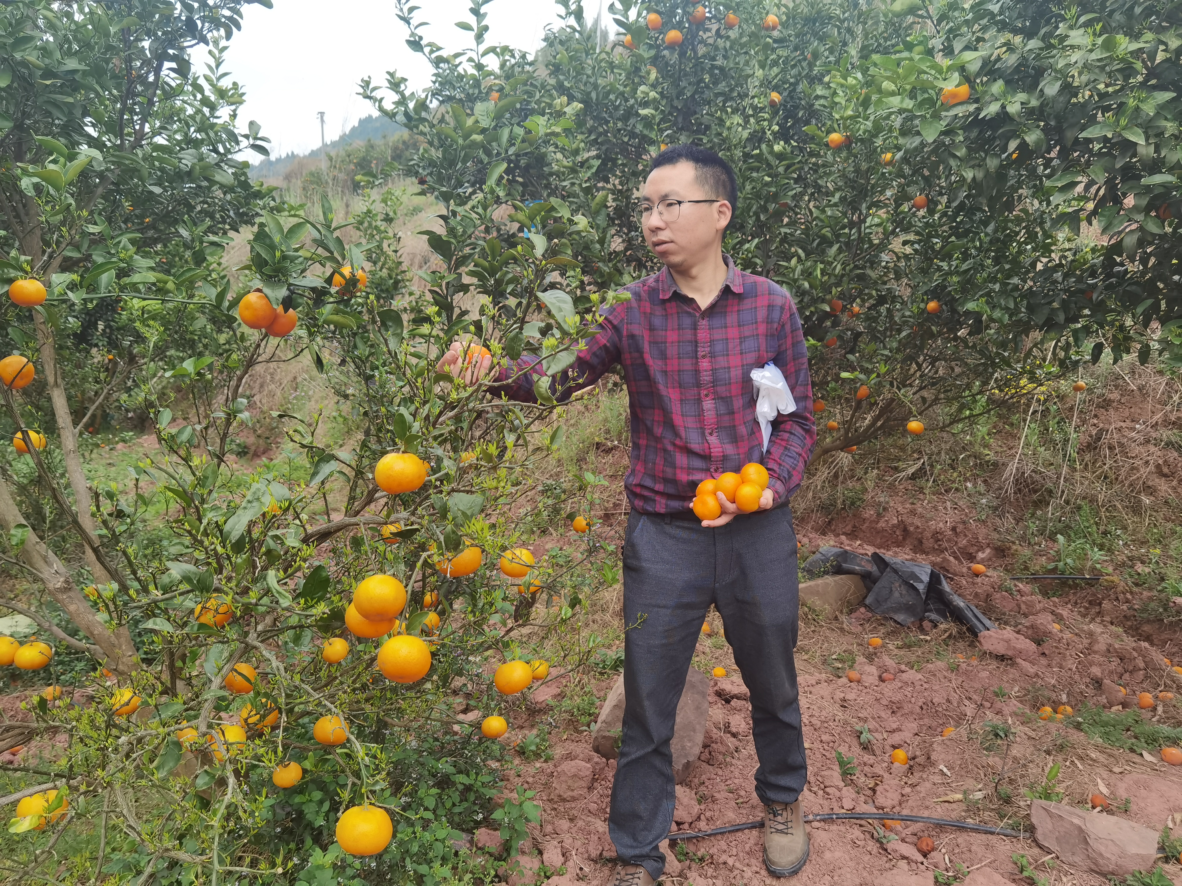 ��ɽ��&ldquo;����ɽ&rdquo;Ҫ�����ꣿһλ�����ѧ���ɳ��˴�