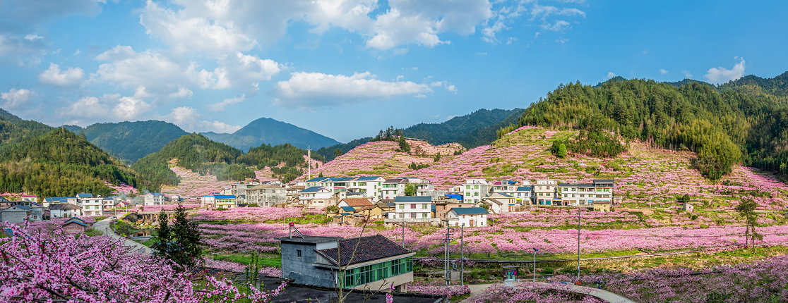 湖南炎陵这个地方登上央视《新闻直播间》，惊艳全国