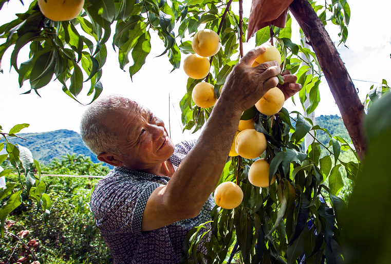 湖南炎陵这个地方登上央视《新闻直播间》，惊艳全国