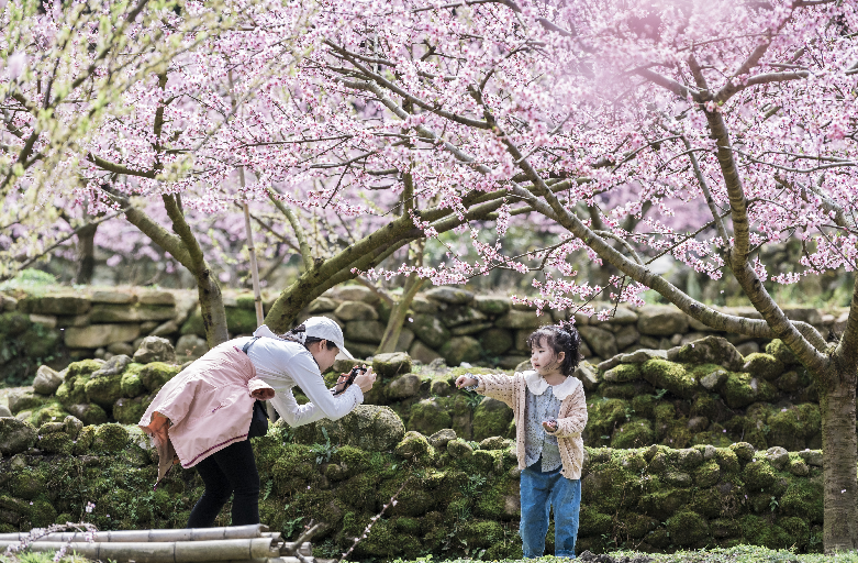 湖南炎陵这个地方登上央视《新闻直播间》，惊艳全国