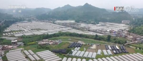 我国涉农贷款余额同比增长11.9% 保持脱贫地区信贷投放力度不减
