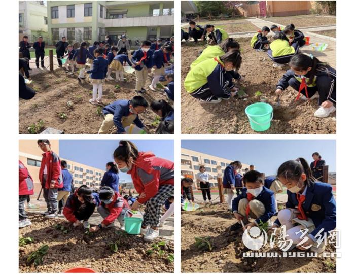 西安市灞桥区神鹿坊小学开展清明节实践活动(图3)