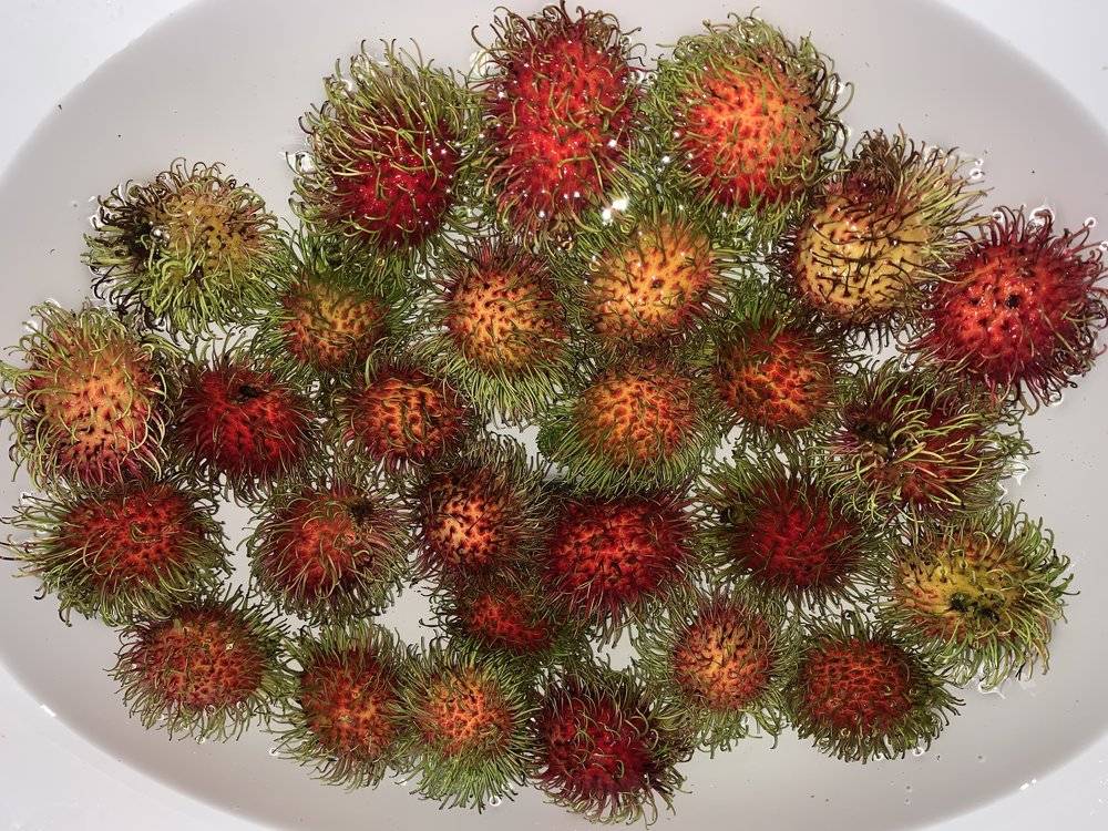 三个中国女孩泰国幻想漂流