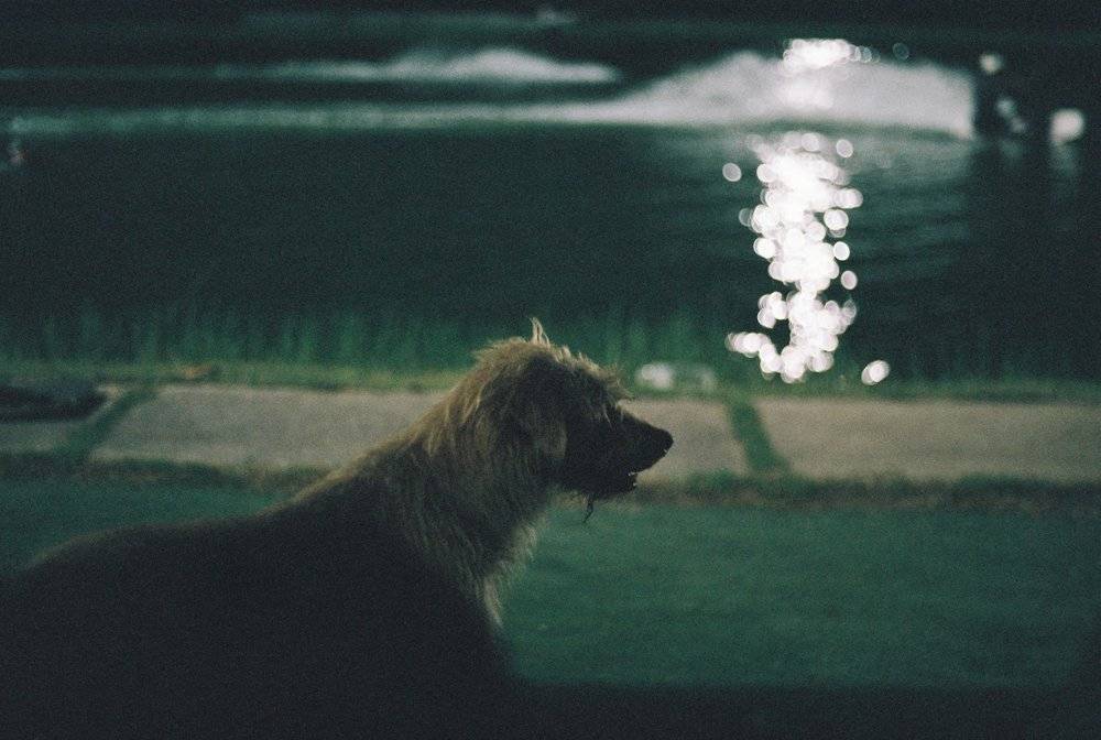 三个中国女孩泰国幻想漂流