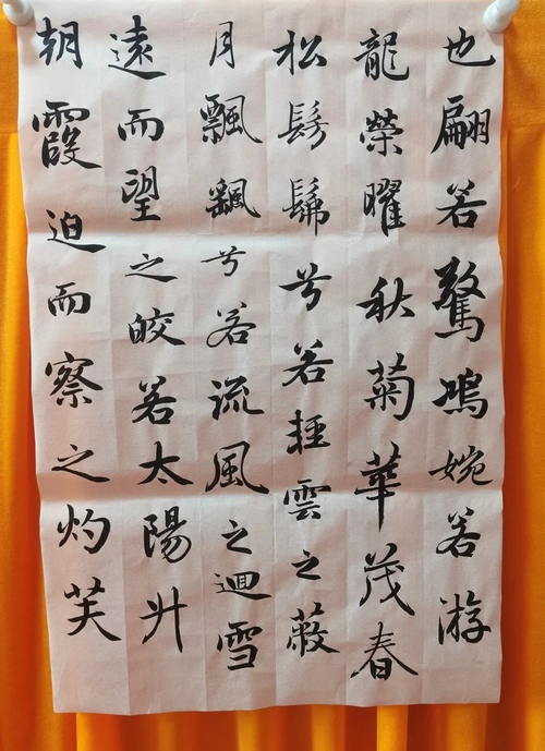 沈阳市实验学校中学部书画养心 以美育人(图15)