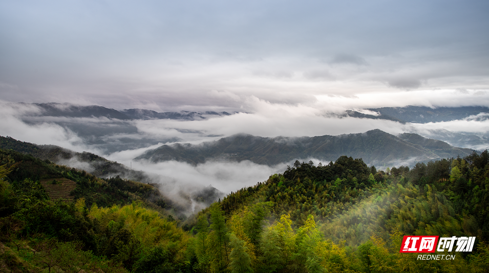 航拍视觉丨炎陵：乡村云海美如画