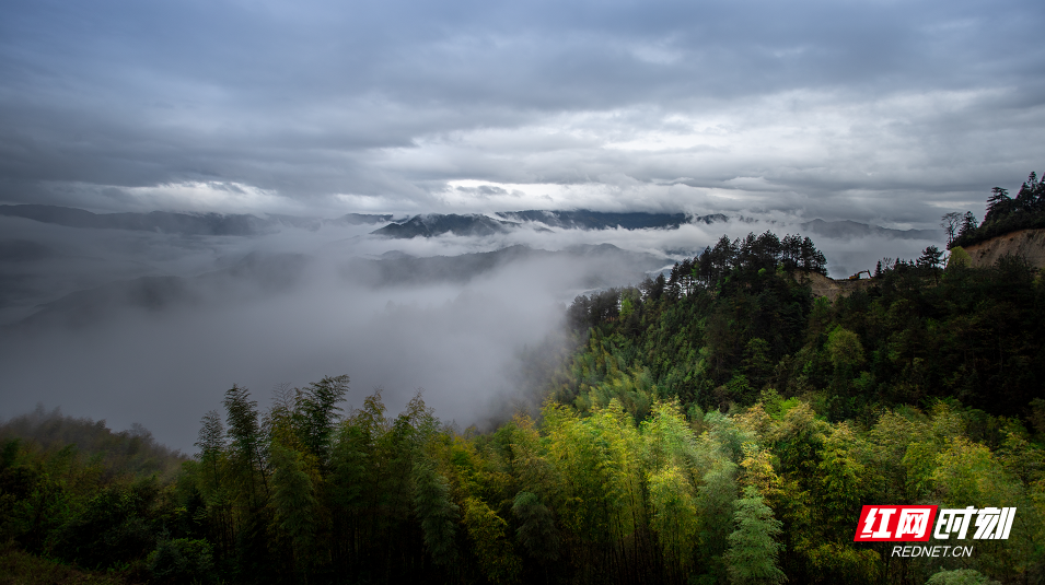 航拍视觉丨炎陵：乡村云海美如画