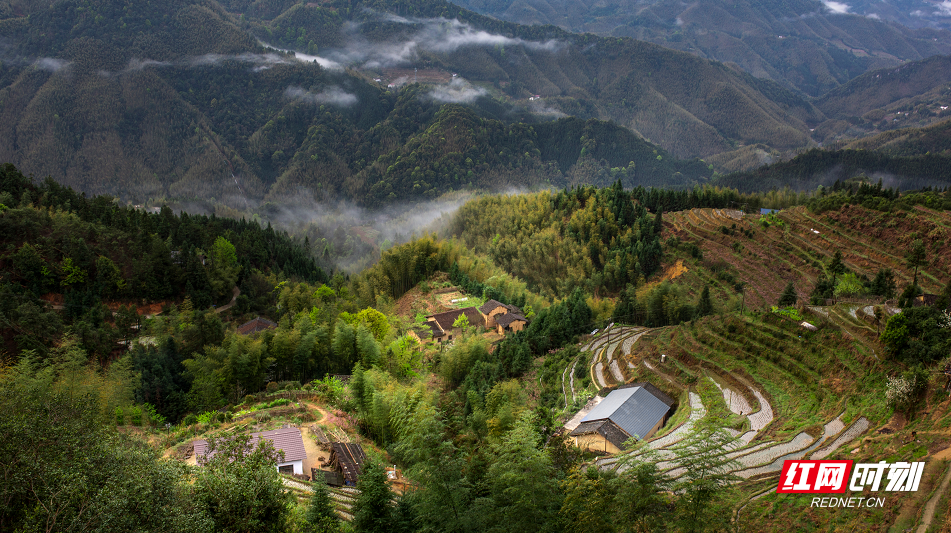 航拍视觉丨炎陵：乡村云海美如画