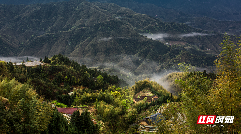 航拍视觉丨炎陵：乡村云海美如画