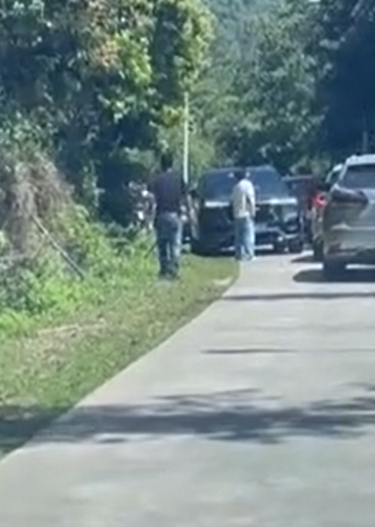 ���ݴ���¶Ӫ����ˮ���·���ڶ����������أ��ʹ������ͻ����