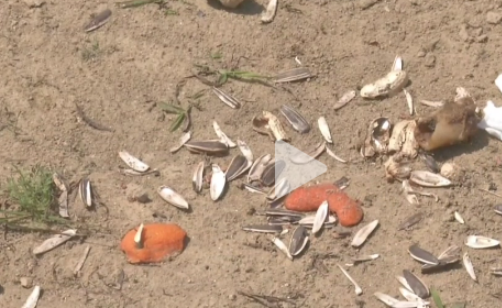 ���ݴ���¶Ӫ����ˮ���·���ڶ����������أ��ʹ������ͻ����