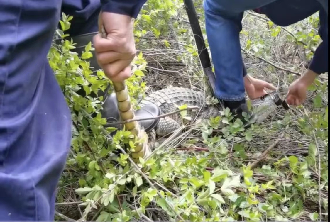 ����������ɽɨĹż�����������񾯽���&ldquo;���ְ�&rdquo;��ְҵϰ��