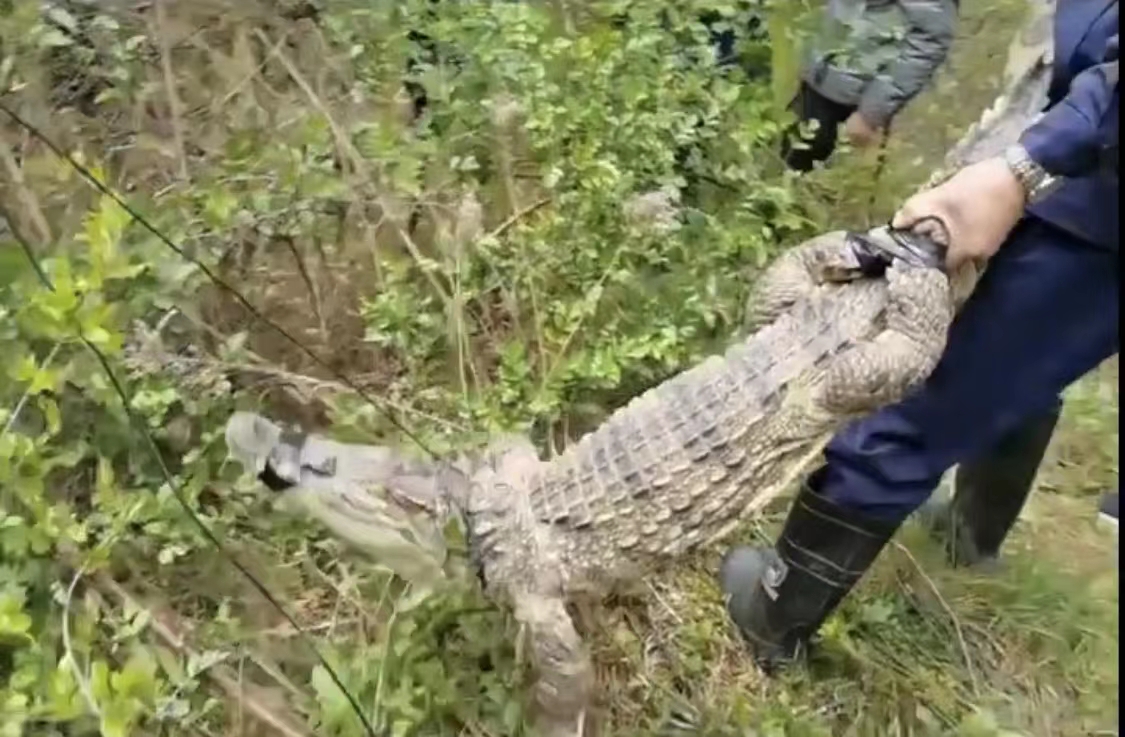 ����������ɽɨĹż�����������񾯽���&ldquo;���ְ�&rdquo;��ְҵϰ��