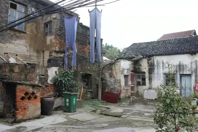 省级名单！湖州市南浔区上榜