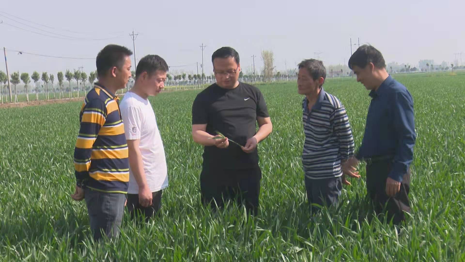 镇平县安字营镇:精准施力,抗疫保春耕两不误