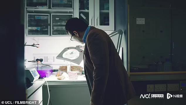 岩石微生物证据：地球出现生命的时间或比以前认为的早3亿年