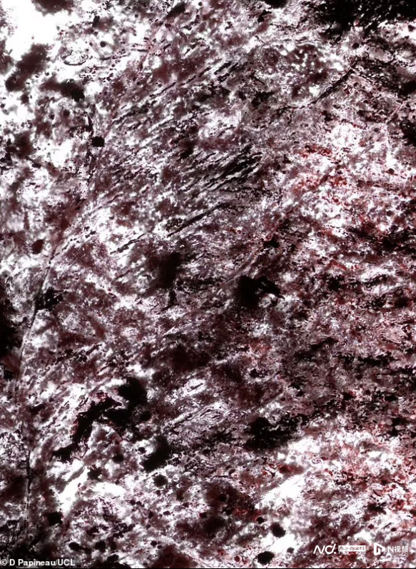 岩石微生物证据：地球出现生命的时间或比以前认为的早3亿年