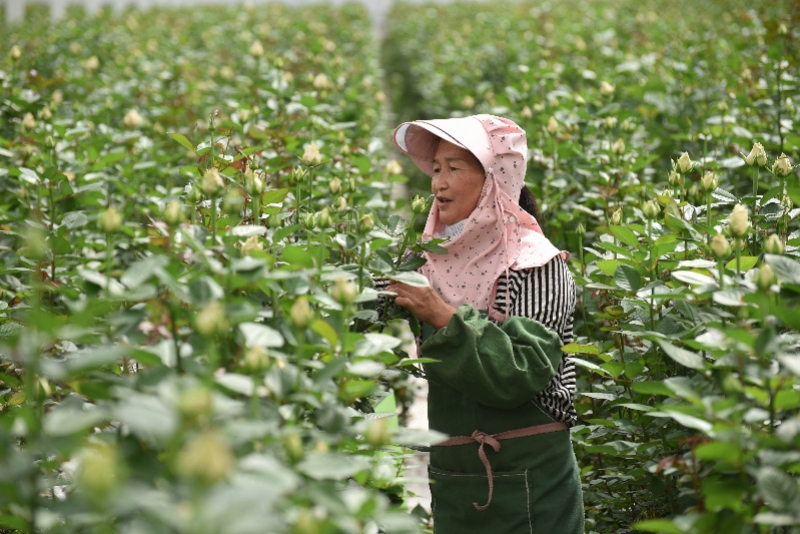 ����ȴ���&ldquo;ȫ��ͳһ���г�&rdquo;��������ɶ��