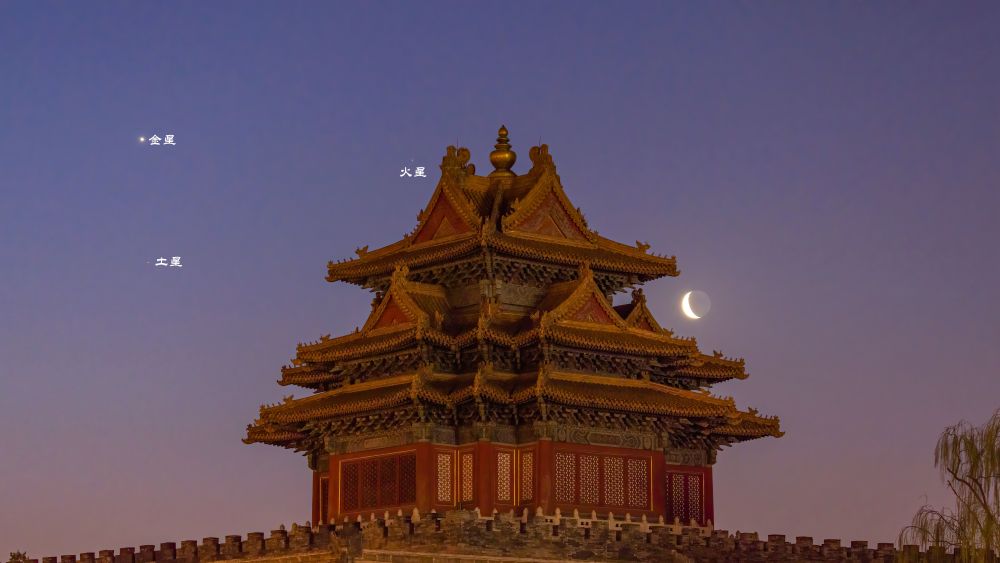 ������ľ�����18�ճ�������������