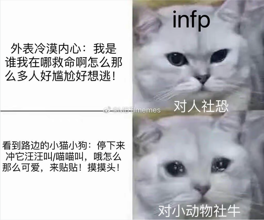 低成本变现百万，但MBTI捧不出下一个“陶白白”