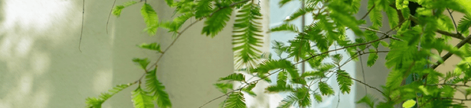 这个班顺利结业！