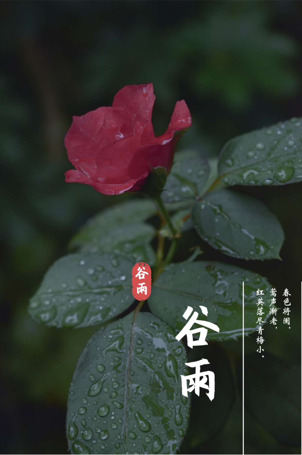 谷雨春光晓，再循科大春迹时