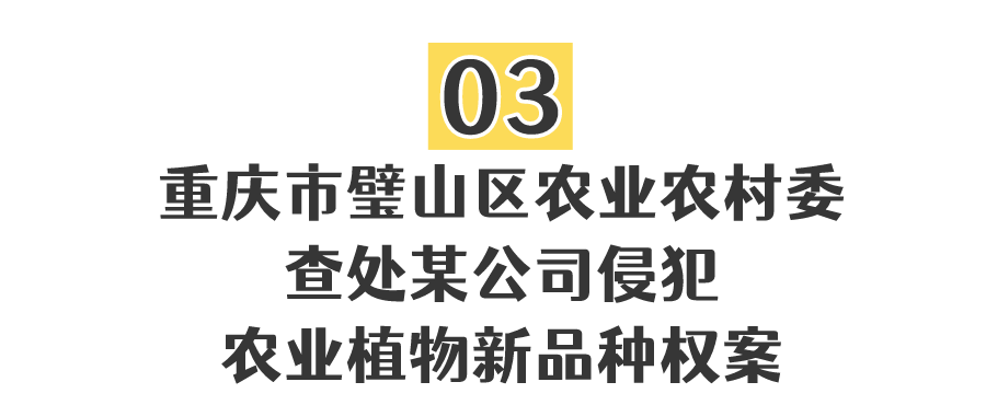 【曝光】重庆公布10起侵权假冒违法行为典型案例