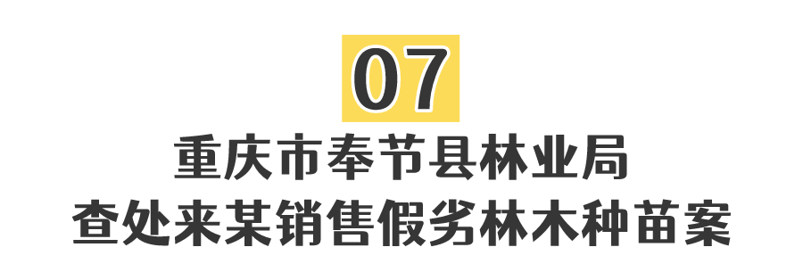 【曝光】重庆公布10起侵权假冒违法行为典型案例