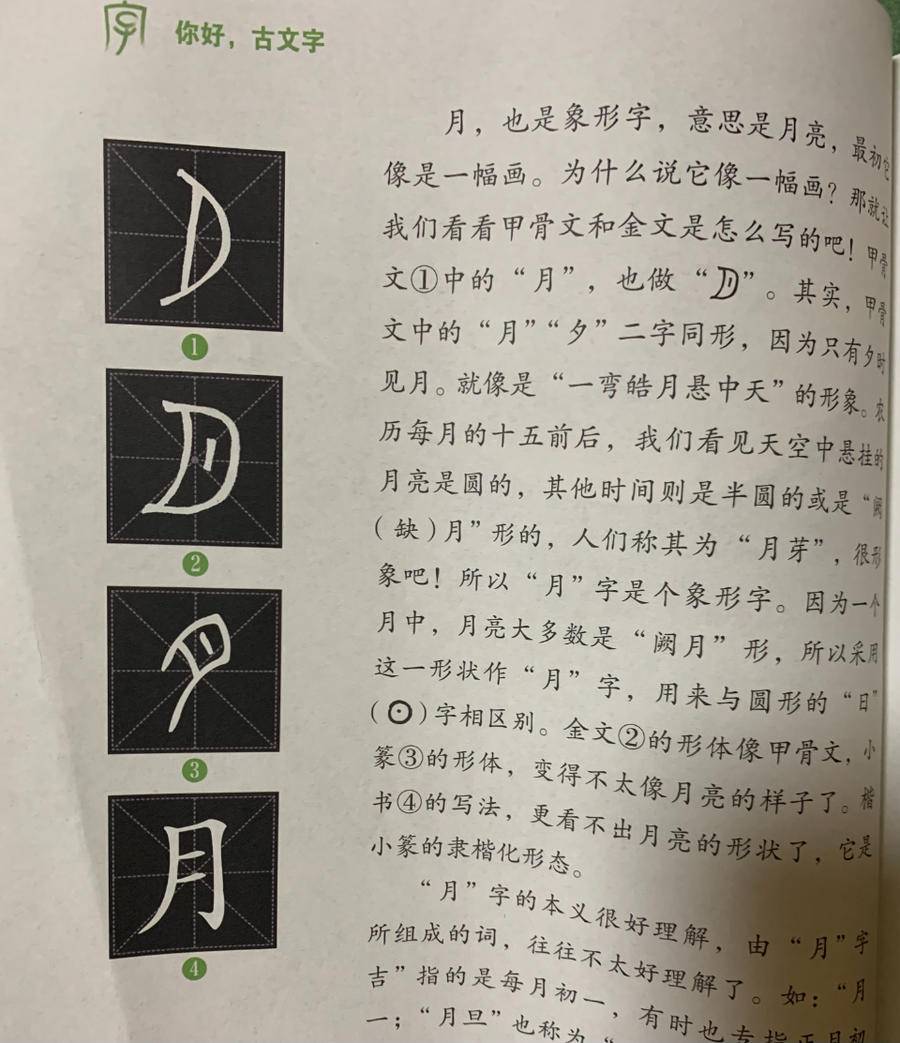 一本好书 | 跨越时空，交个朋友——《你好，古文字》品读