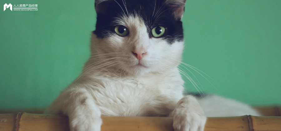 宠物服务APP竞品分析：线上宠物需求是伪需求？