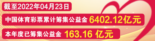 法甲联赛排名靠什么(【课堂】五大联赛之浅谈法甲)