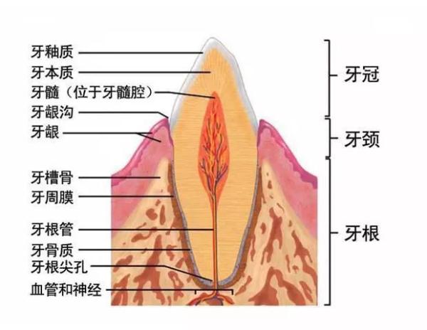 如何擺脫手腳冰涼，不再做“凍美人”？