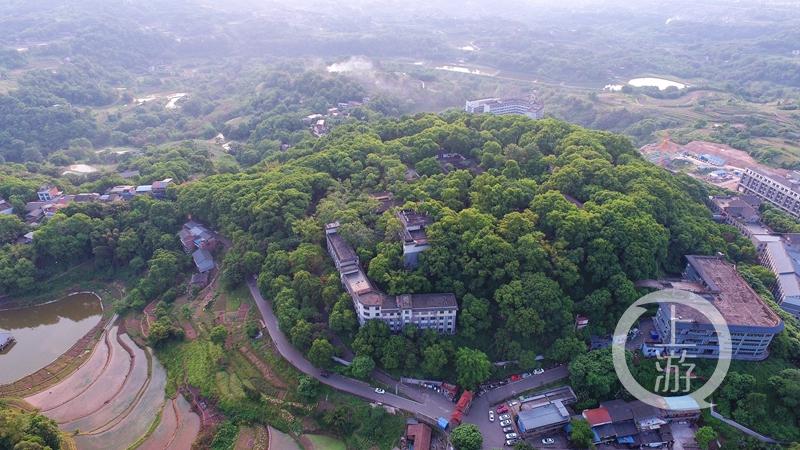 江津白沙鎮(zhèn)聚奎中學(xué)的“編外學(xué)生”又增多了(圖2) 江津白沙鎮(zhèn)聚奎中學(xué)的“編外學(xué)生”又增多了(圖2)