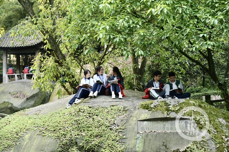 江津白沙鎮(zhèn)聚奎中學(xué)的“編外學(xué)生”又增多了(圖8) 江津白沙鎮(zhèn)聚奎中學(xué)的“編外學(xué)生”又增多了(圖8)