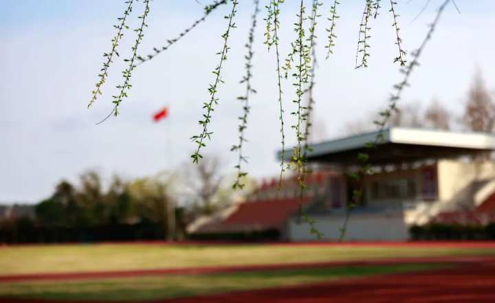 浙江省春暉中學的校園春天“打包”寄給你(圖1) 浙江省春暉中學的校園春天“打包”寄給你(圖1)