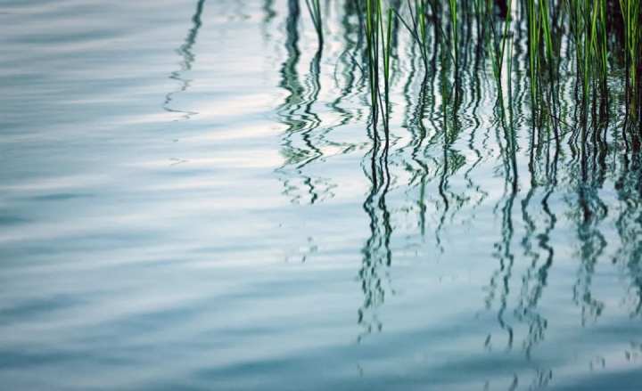 浙江省春暉中學的校園春天“打包”寄給你(圖3) 浙江省春暉中學的校園春天“打包”寄給你(圖3)