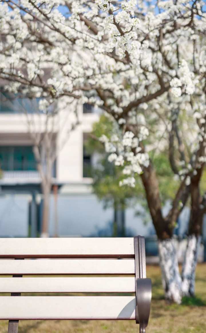 浙江省春暉中學的校園春天“打包”寄給你(圖9) 浙江省春暉中學的校園春天“打包”寄給你(圖9)