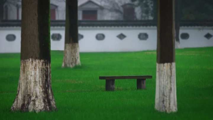 浙江省春暉中學的校園春天“打包”寄給你(圖17) 浙江省春暉中學的校園春天“打包”寄給你(圖17)