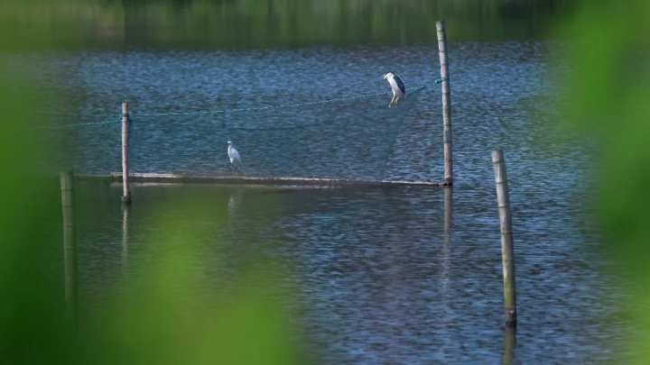 浙江省春暉中學的校園春天“打包”寄給你(圖22) 浙江省春暉中學的校園春天“打包”寄給你(圖22)