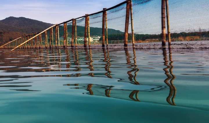 浙江省春暉中學的校園春天“打包”寄給你(圖23) 浙江省春暉中學的校園春天“打包”寄給你(圖23)